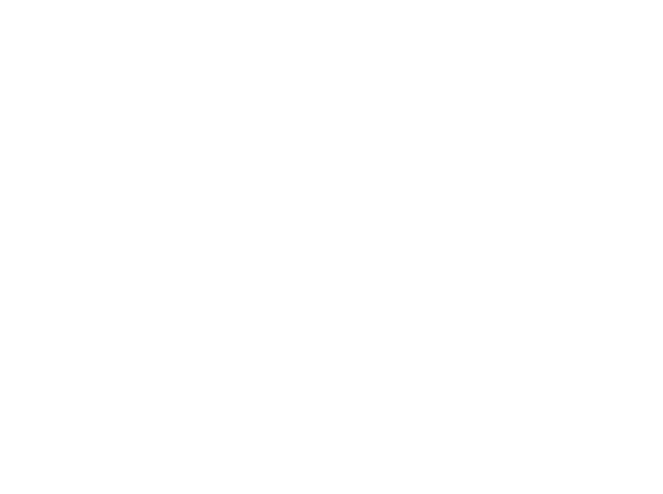 RockVision
